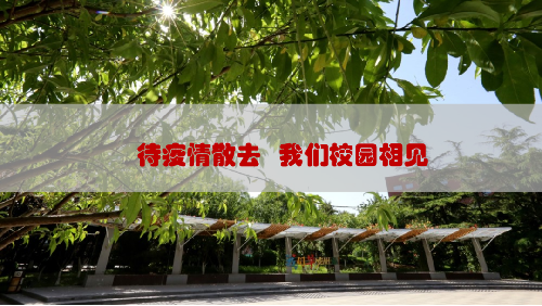 勾引色情