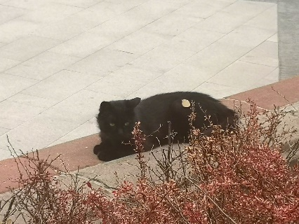 勾引色情
